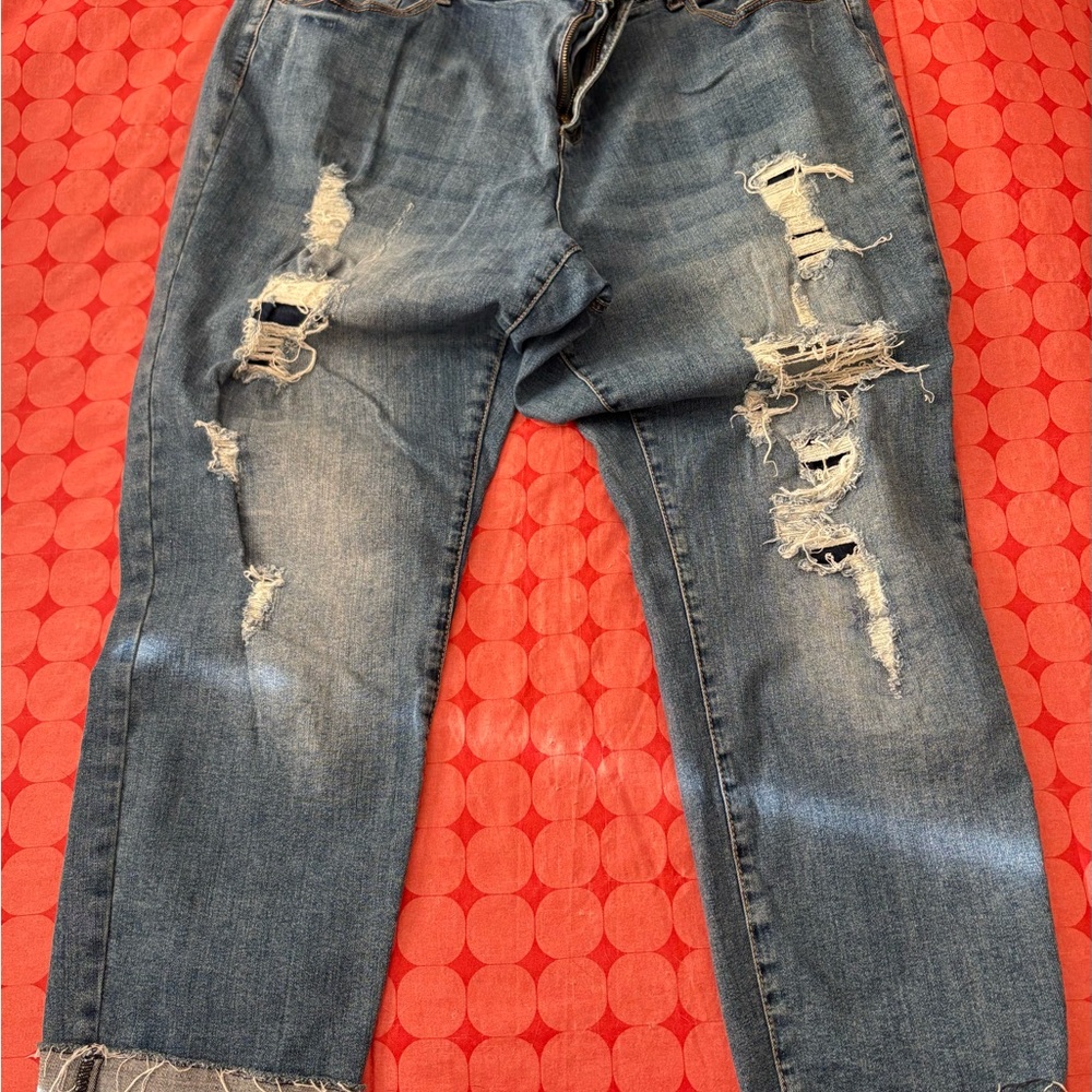 Cato Est. 1946 Classic Denim Jeans Womens Plus Size 20W Blue Stretch
